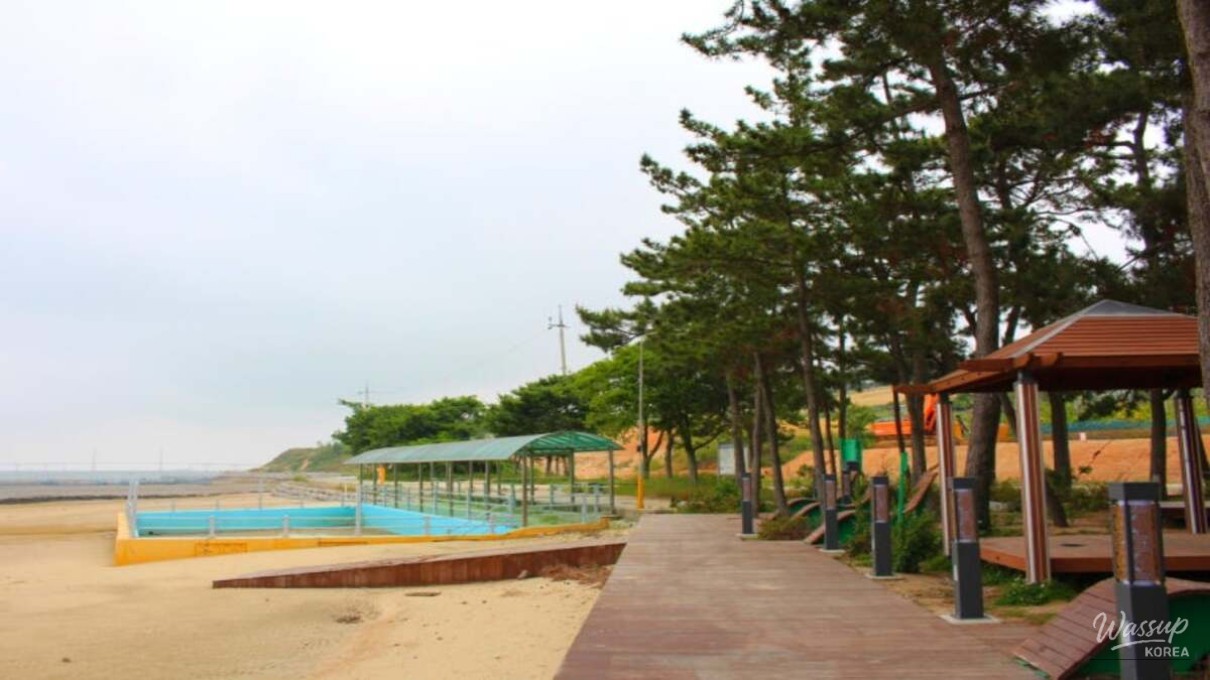 Discovering Anak Beach: A Tranquil Escape in February_02