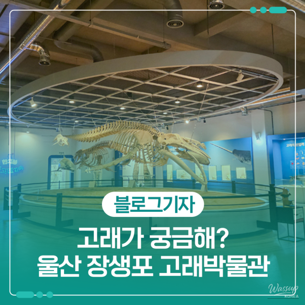 Exploring the Ulsan Whale Museum: A Family-Friendly Destination_01