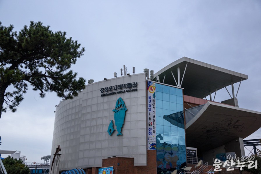 Exploring the Ulsan Whale Museum: A Family-Friendly Destination_03