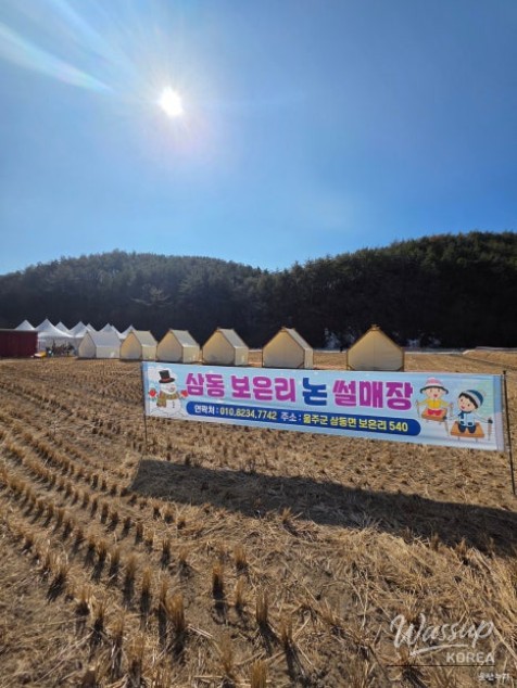 Exploring the Boeunri Rice Sledding Park in Ulsan_02