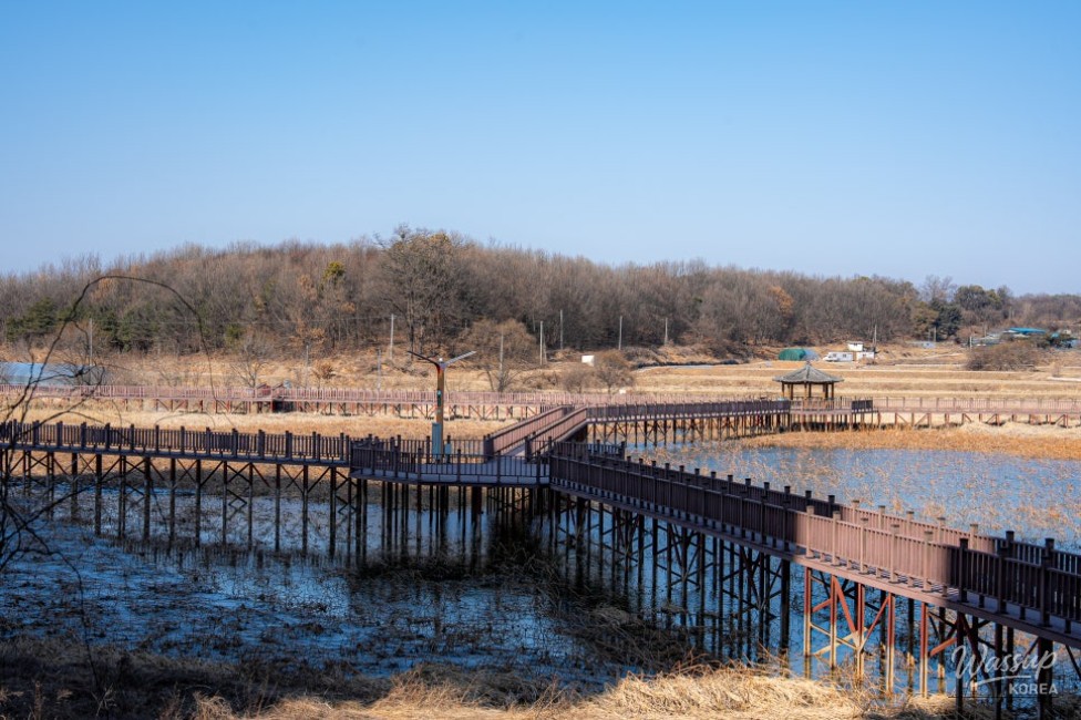 Discovering the Hidden Healing Spot: Sincheok Reservoir in Jincheon_06