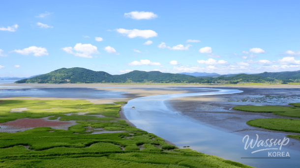 Exploring the Tranquility of Suncheon in Late February_02