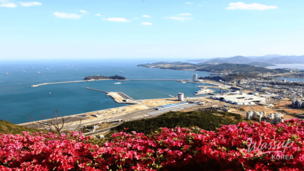 Exploring the Beauty of Camellia Flowers in Early Spring_05