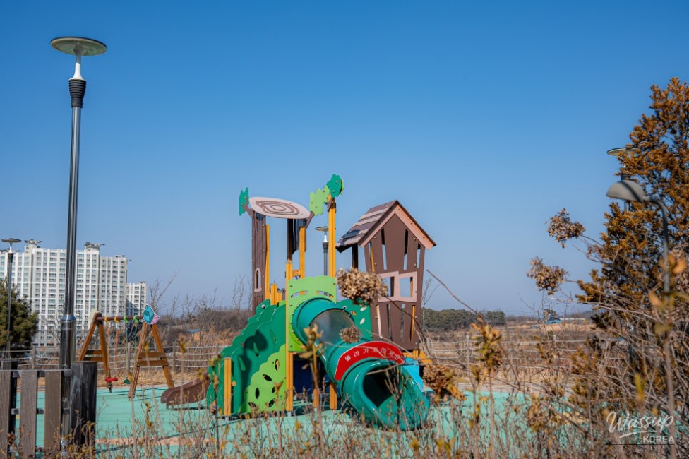 Exploring Deoksan Parks: A Perfect Family Outing_08