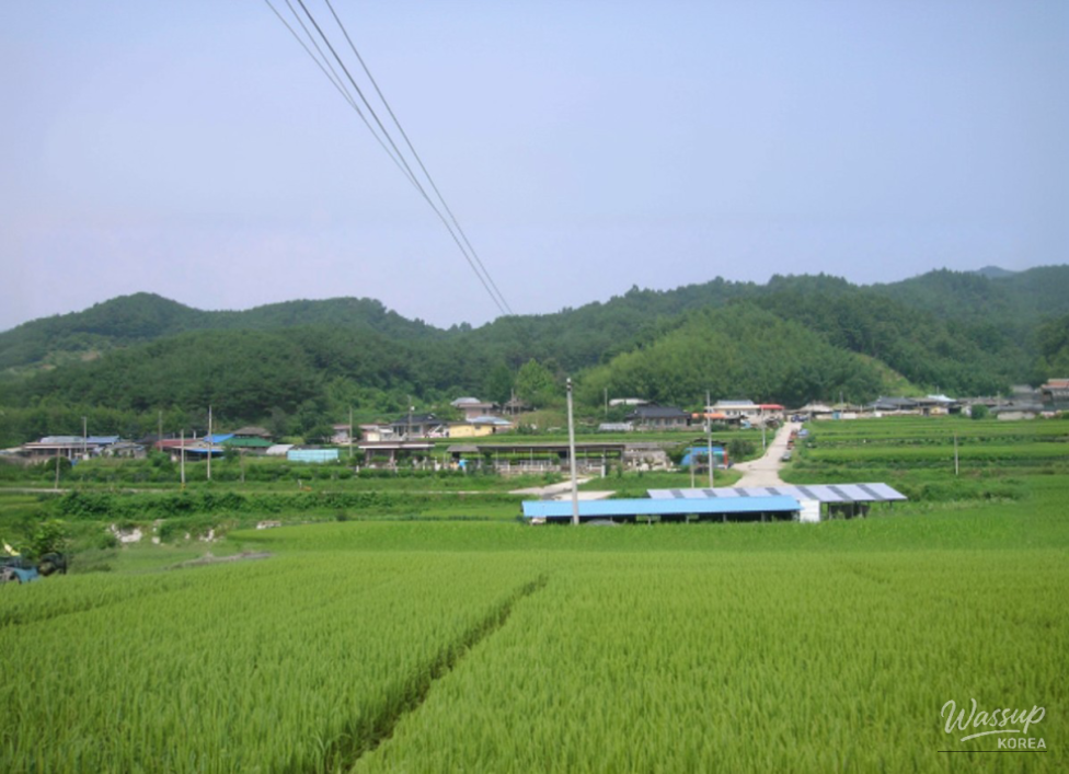 Exploring the Historical and Scenic Wolgok Village_01