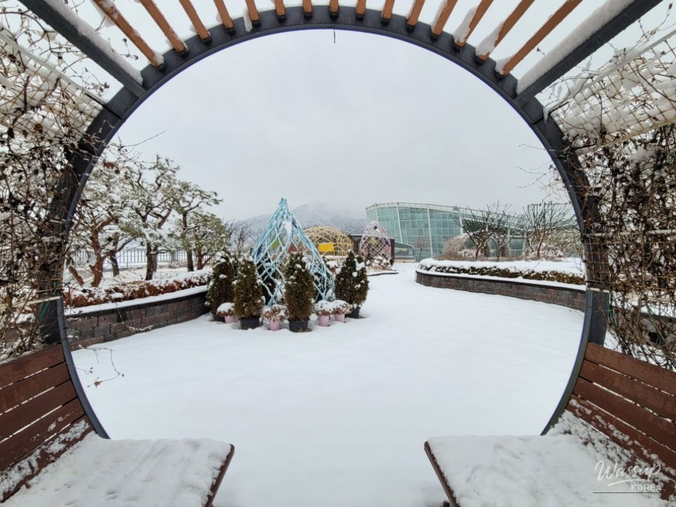 A Winter Wonderland at Changpo Garden_05