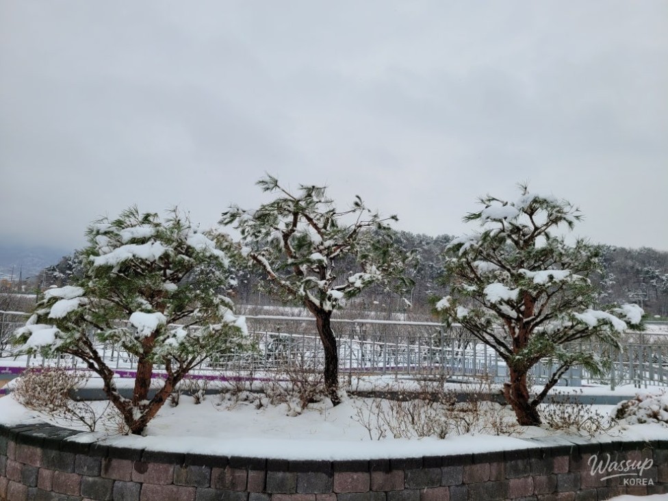 A Winter Wonderland at Changpo Garden_04