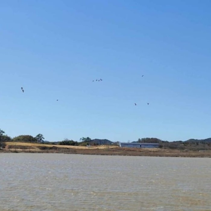 Exploring the Tranquility of Usupje Reservoir in Winter2559