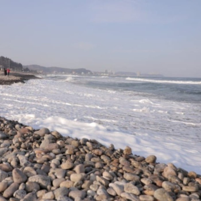 Exploring Jeongam Beach: A Winter Escape2555