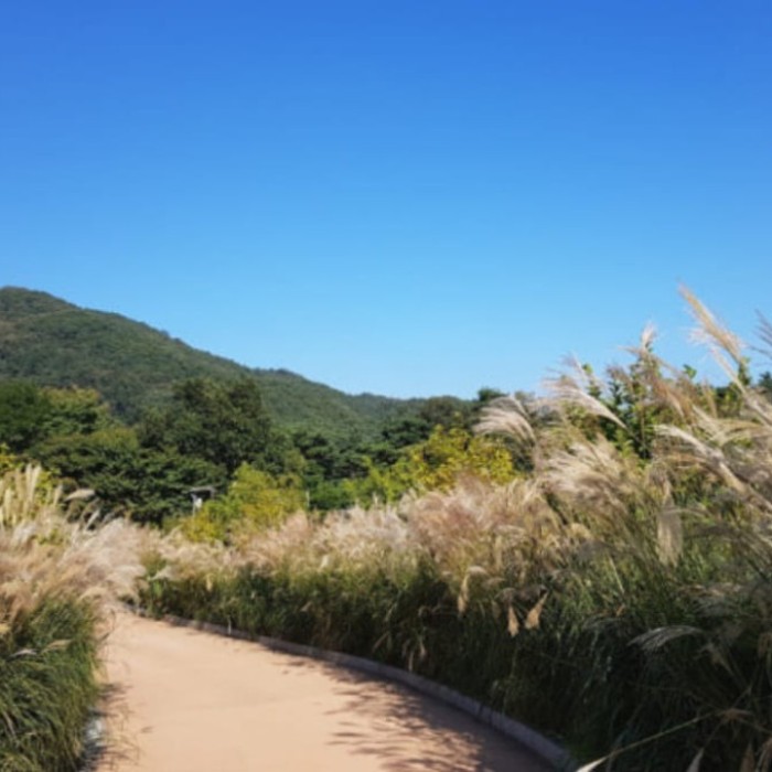 Healing Retreat at Yangpyeong Shija Park2553