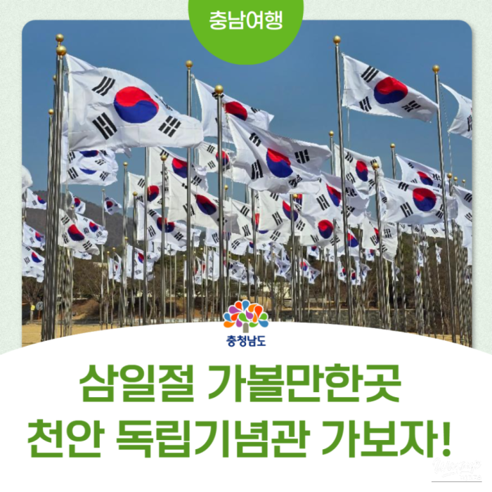 Exploring the Independence Hall of Korea: A Journey Through History2548