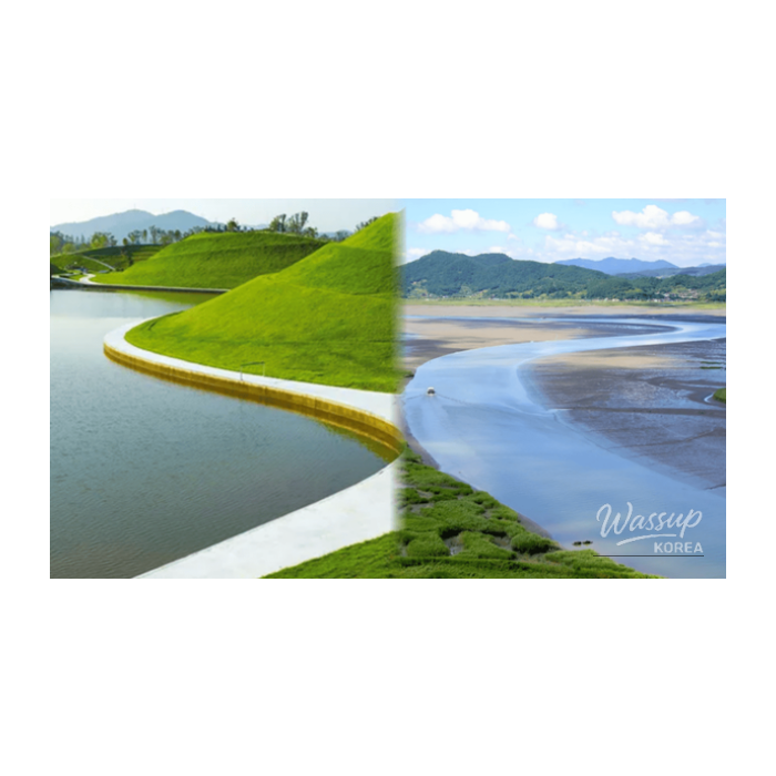 Exploring the Tranquility of Suncheon in Late February2562