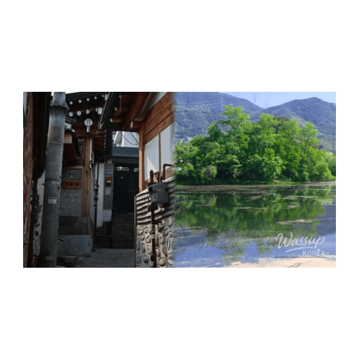 February's Tranquil Travel Destinations in Korea2545