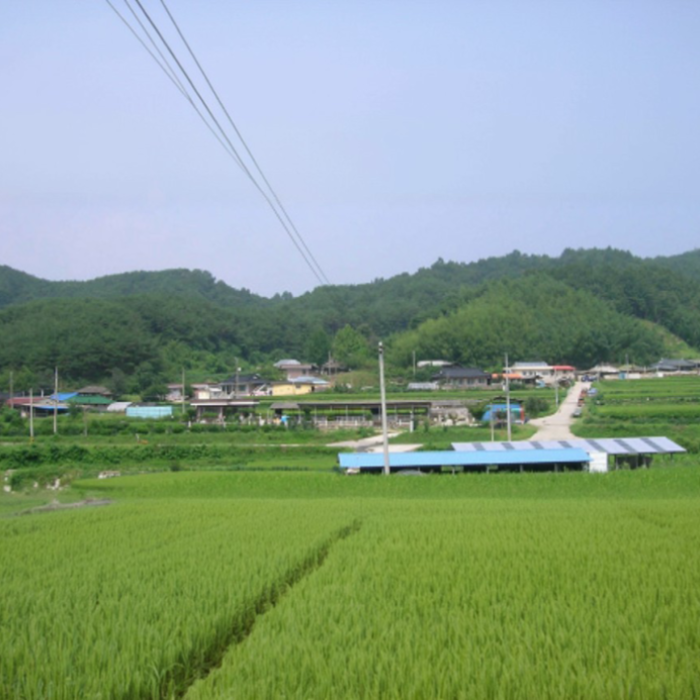 Exploring the Historical and Scenic Wolgok Village2550
