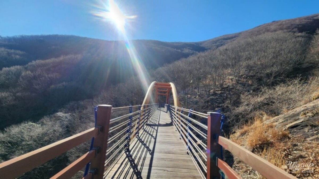 Exploring the Eco Park of Geogeum Island_02