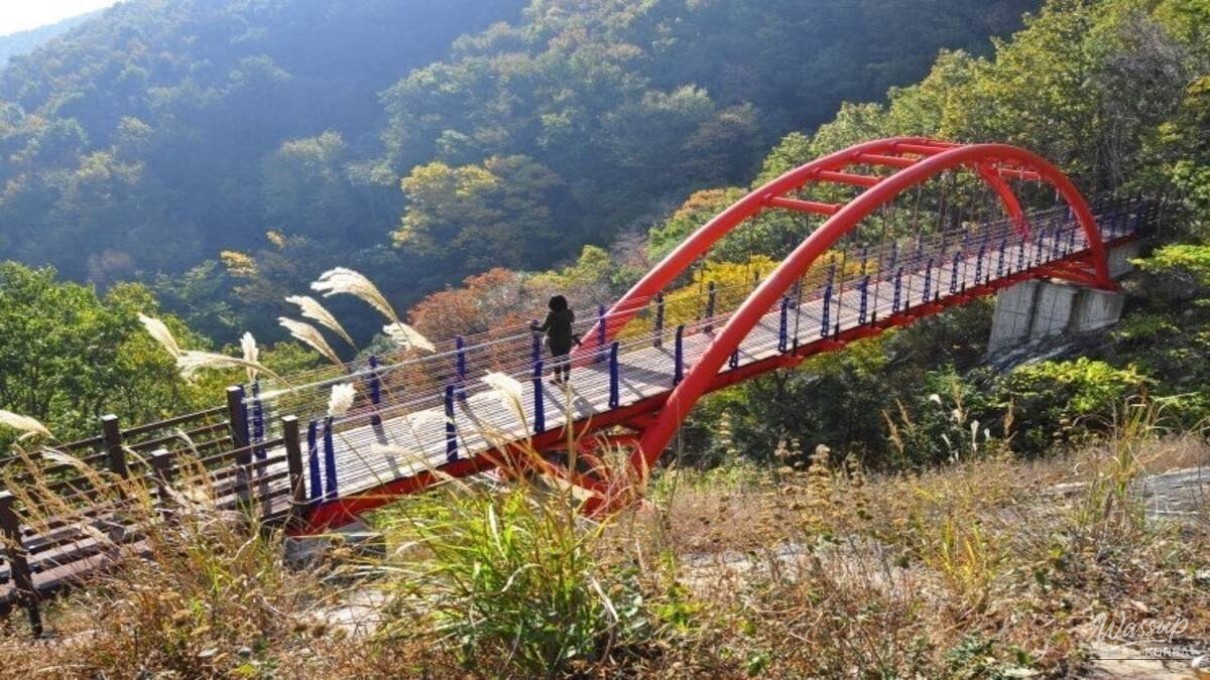 Exploring the Eco Park of Geogeum Island_03