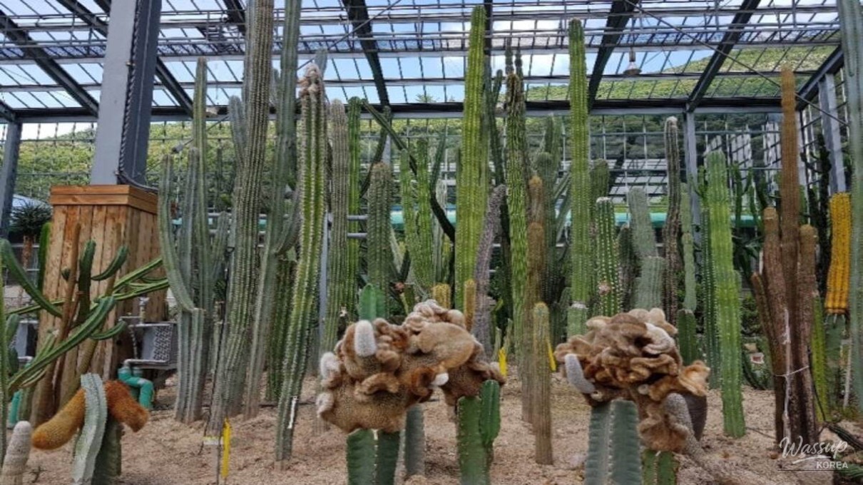 Exploring Wando Arboretum: A Winter Escape_03