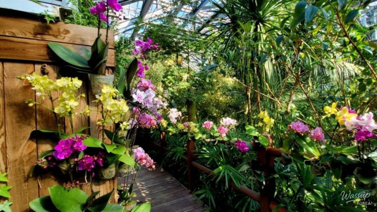 Exploring Wando Arboretum: A Winter Escape_02