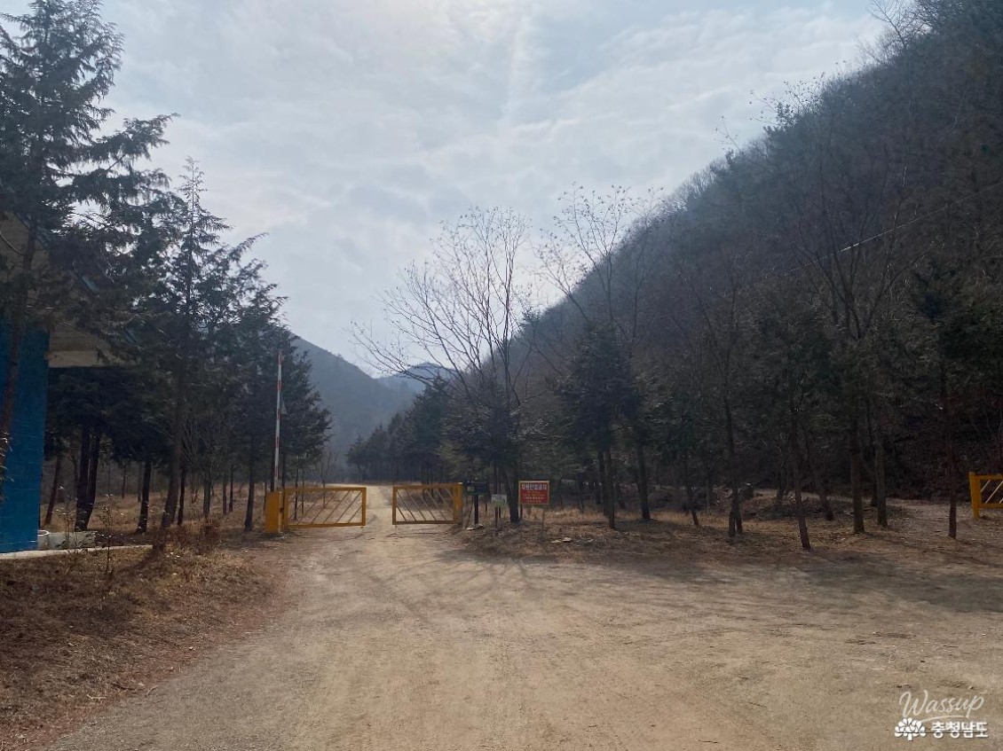 Exploring Onbit Natural Recreation Forest in Nonsan_03