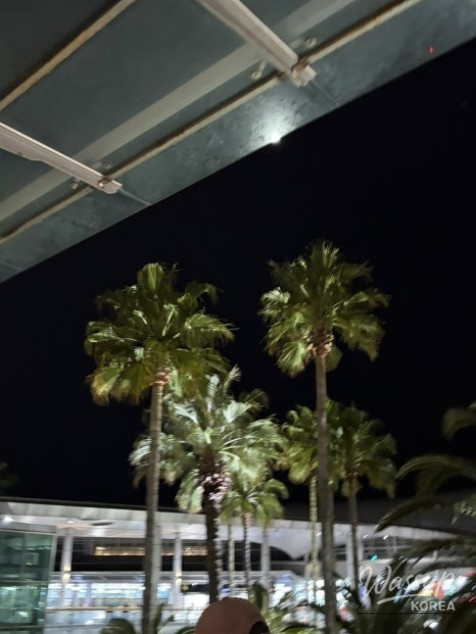 A Memorable Trip to Jeju Island_15