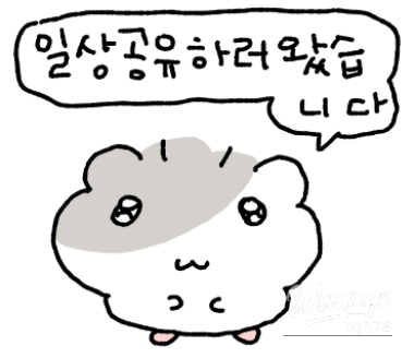 Café Aoo: A Scenic Retreat in Jeju_02