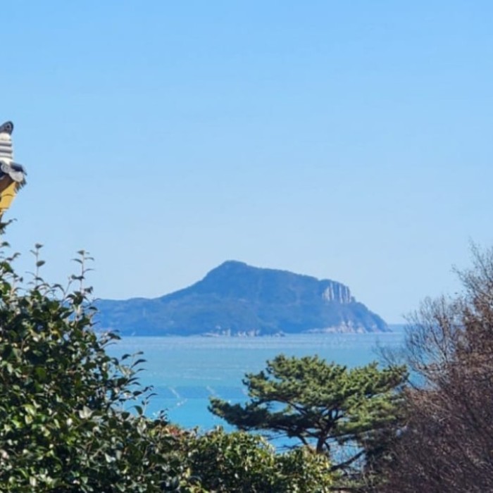 Exploring the Eco Park of Geogeum Island2570