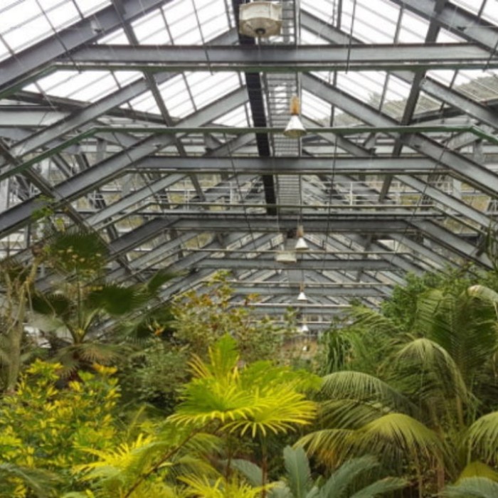 Exploring Wando Arboretum: A Winter Escape2569