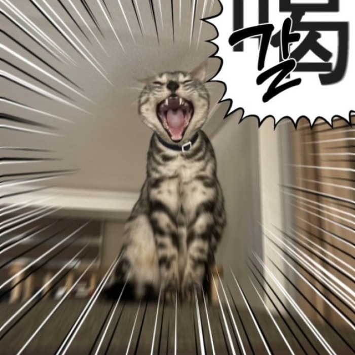 A Glimpse into My Everyday Life1385