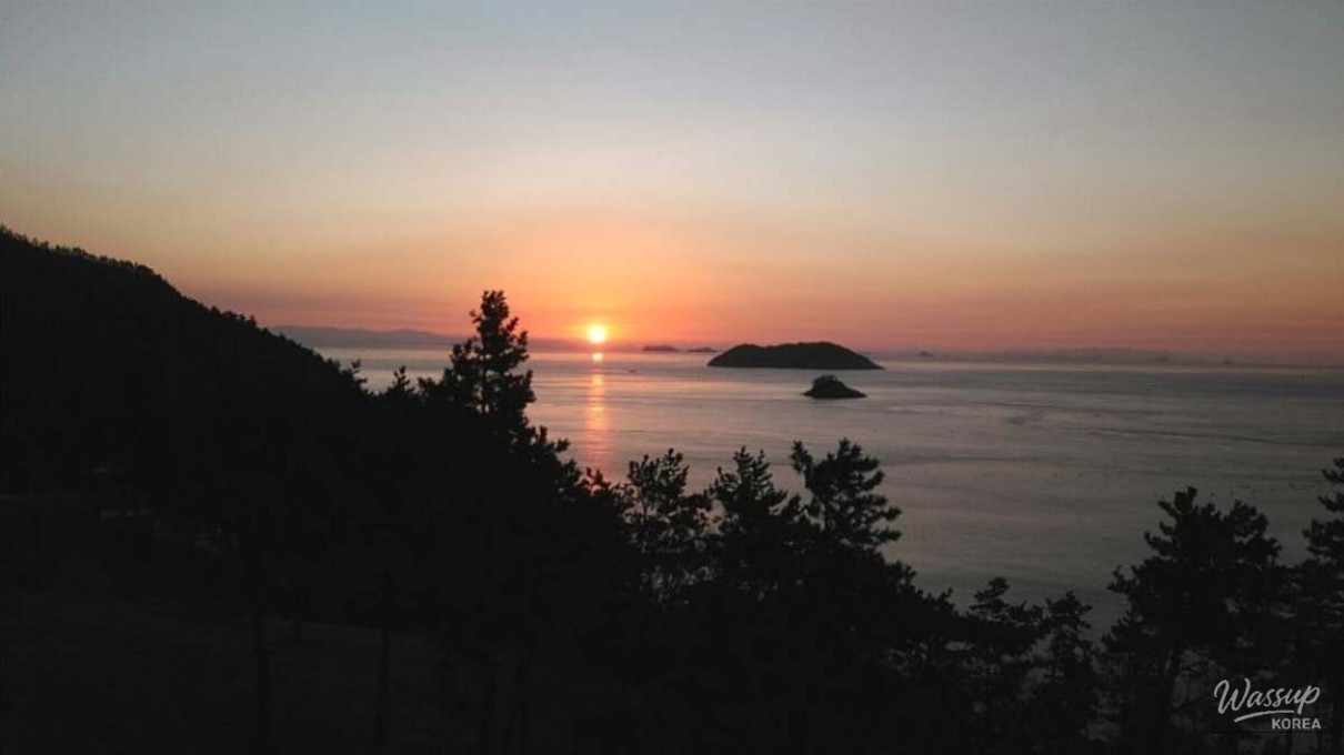 Discovering the Natural Beauty of Jindo National Natural Recreation Forest_05