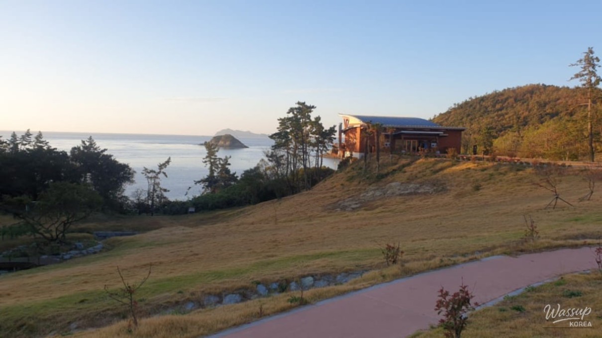 Discovering the Natural Beauty of Jindo National Natural Recreation Forest_01