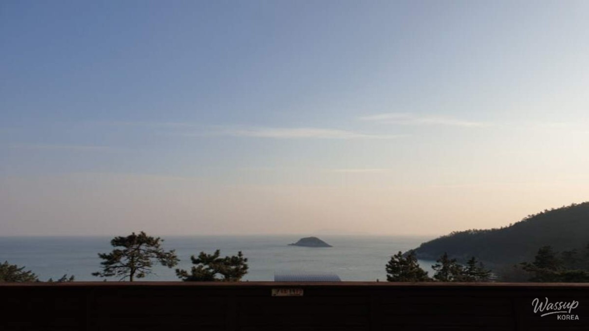 Discovering the Natural Beauty of Jindo National Natural Recreation Forest_03