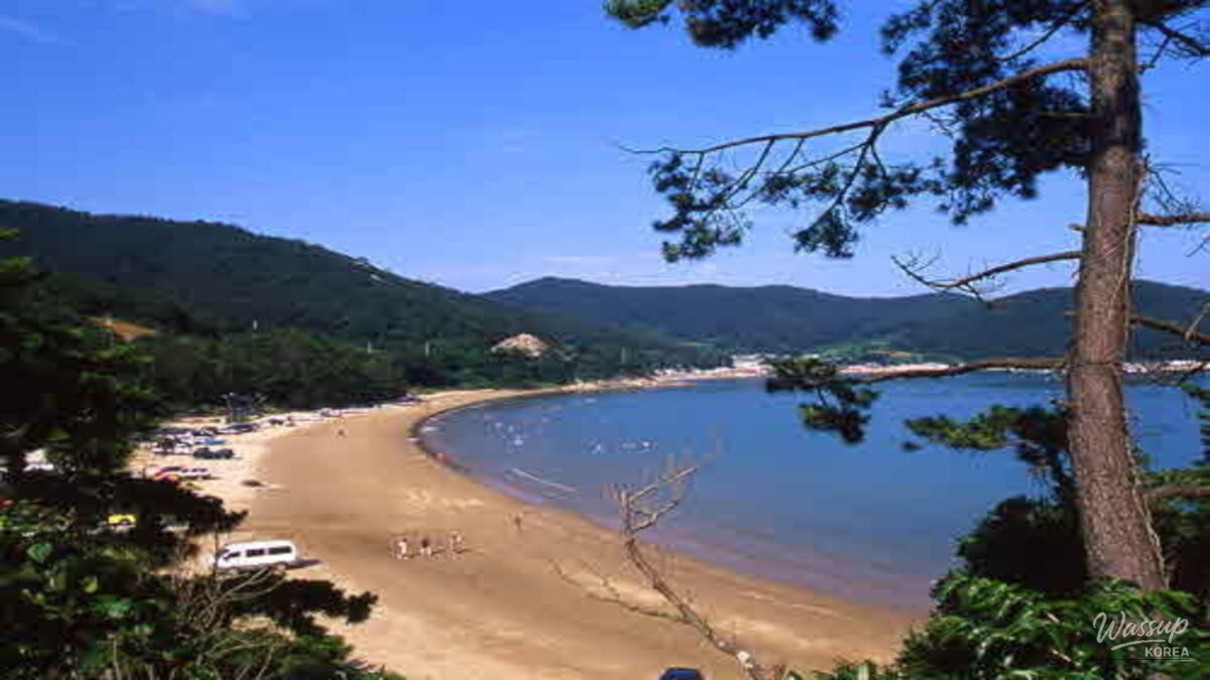 Discovering the Hidden Gem of Jindo: Sinjeon Beach_02