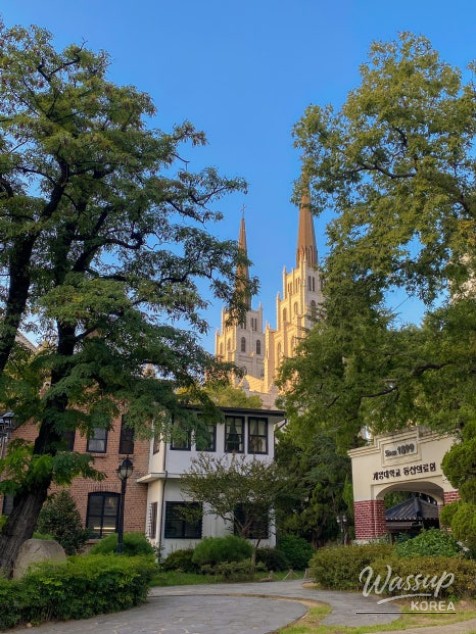 Celebrating the Spirit of Independence: March 1st Movement in Daegu_06