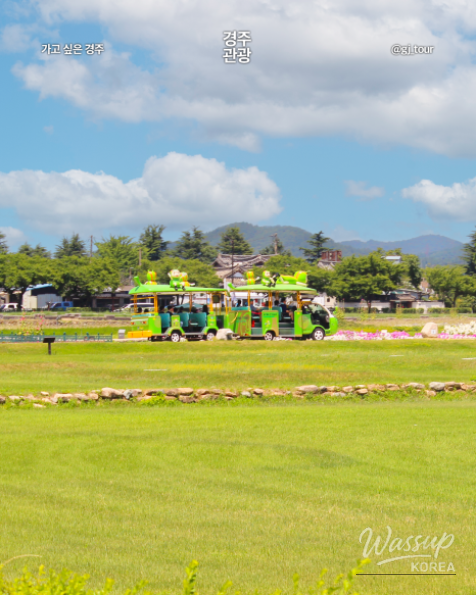 Spring Travel in Gyeongju_03
