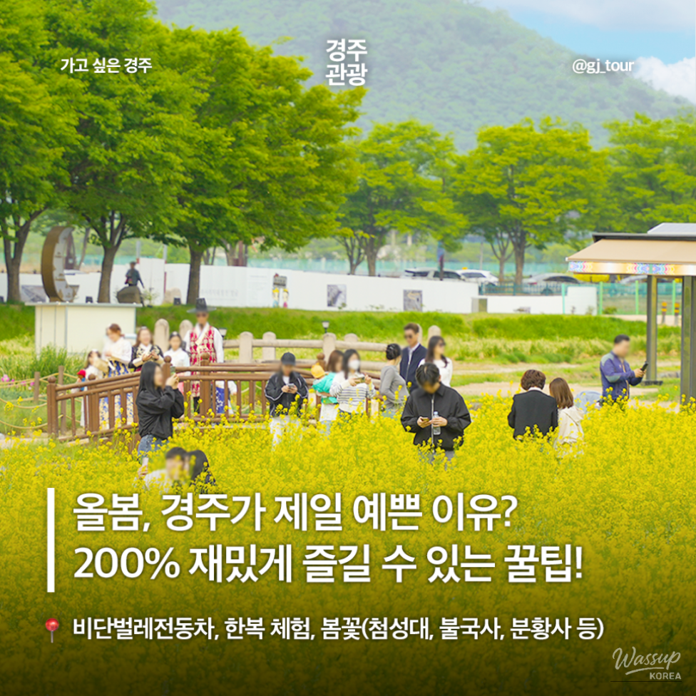 Spring Travel in Gyeongju_08