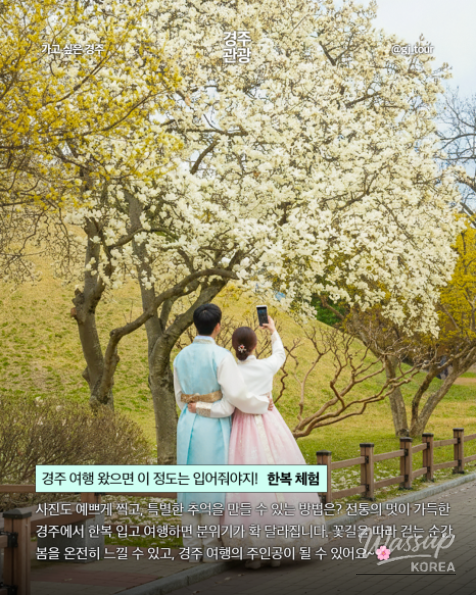 Spring Travel in Gyeongju_04