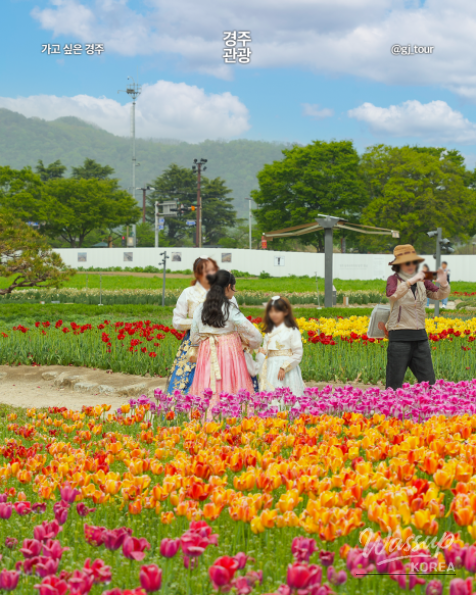 Spring Travel in Gyeongju_05
