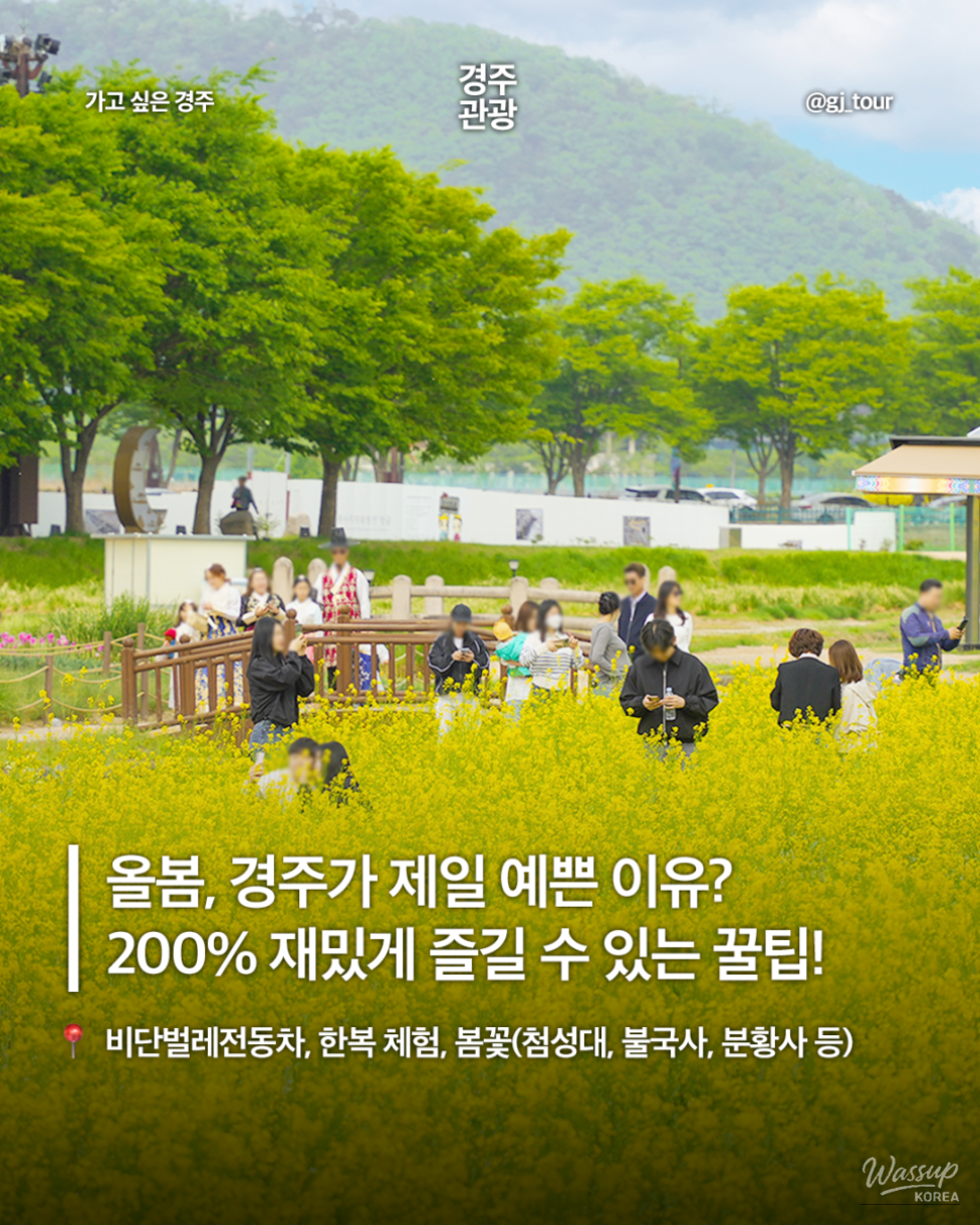 Spring Travel in Gyeongju_01