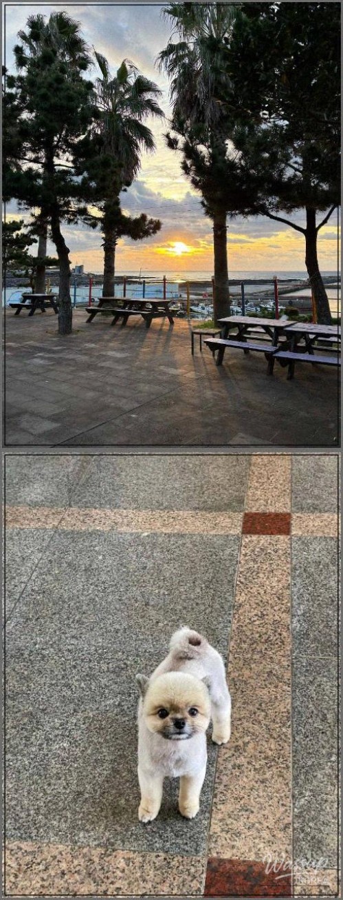 The Joy of Traveling Together_01