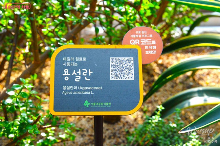 Explore the Newly Revamped Seoul Grand Park Botanical Garden_04