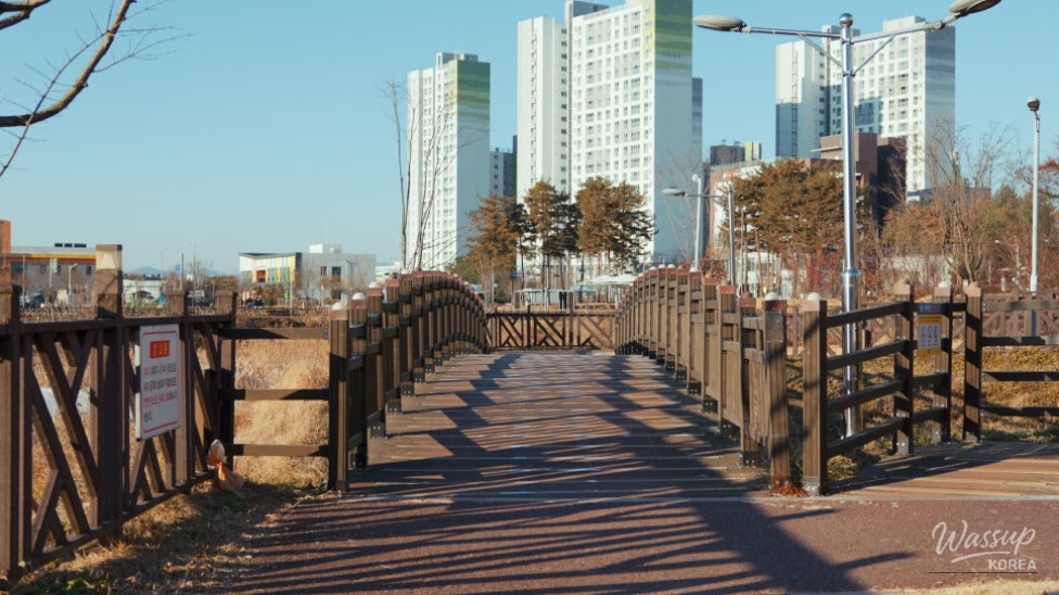 Discovering Daehwa Park in Jincheon_05