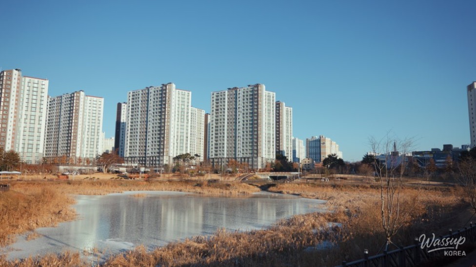 Discovering Daehwa Park in Jincheon_02