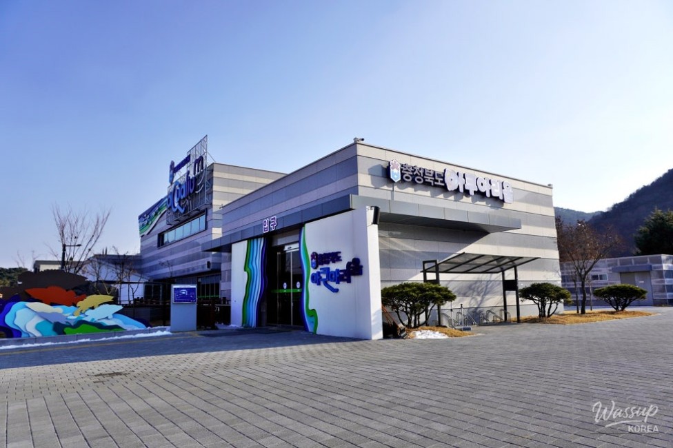 Exploring the Chungbuk Aquarium in Goesan_03