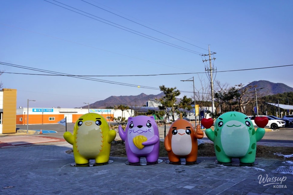 Exploring the Chungbuk Aquarium in Goesan_05