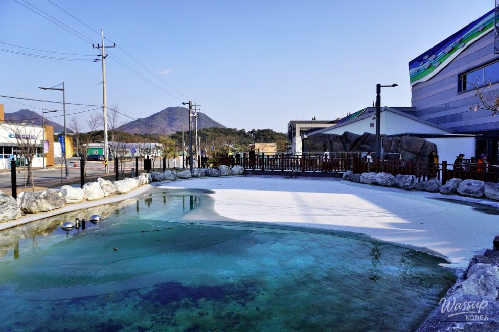 Exploring the Chungbuk Aquarium in Goesan_04