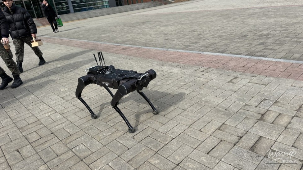 2026 Army Officer Commissioning Ceremony in Goesan_11