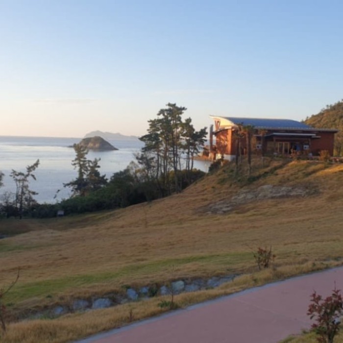 Discovering the Natural Beauty of Jindo National Natural Recreation Forest2576