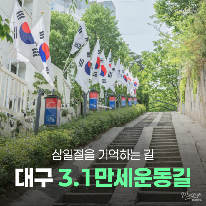 Celebrating the Spirit of Independence: March 1st Movement in Daegu1393