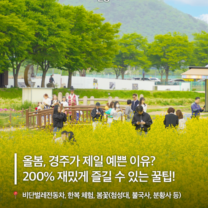 Spring Travel in Gyeongju2578