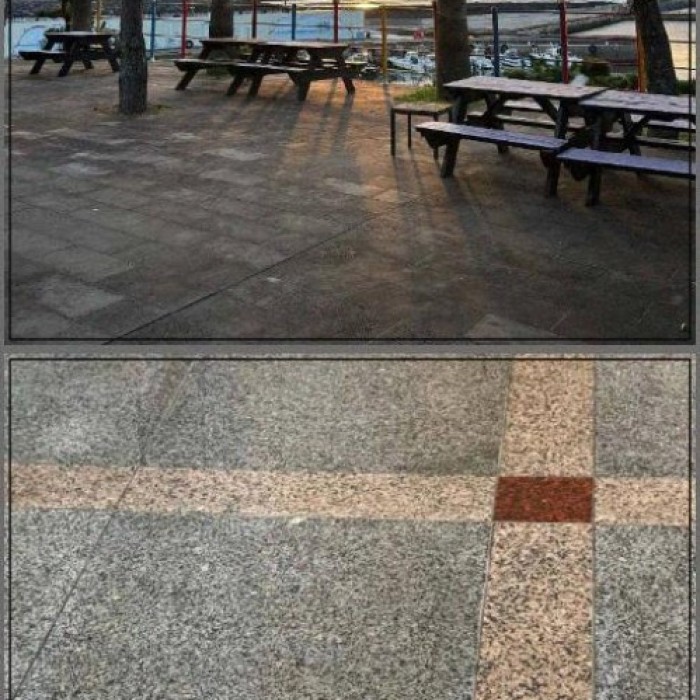 The Joy of Traveling Together2575